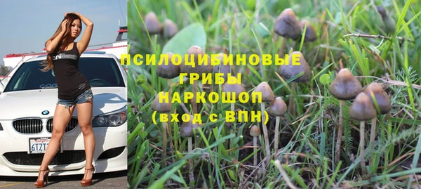 прущая мука Богородицк