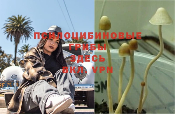 кокаин премиум Богородск