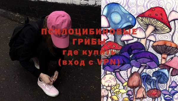 молекула духа Пролетарск