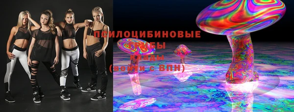 прущая мука Богородицк